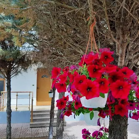 Hotel Hotel Tre Shqiponjat Velipoje Shkodër