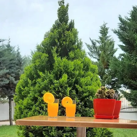 Hotel Tre Shqiponjat Velipoje 3* Shkodër