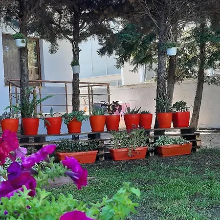 Hotel Tre Shqiponjat Velipoje